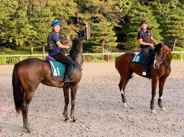 スプリンターズSでG1初制覇を果たした西村淳がホースマンの兄