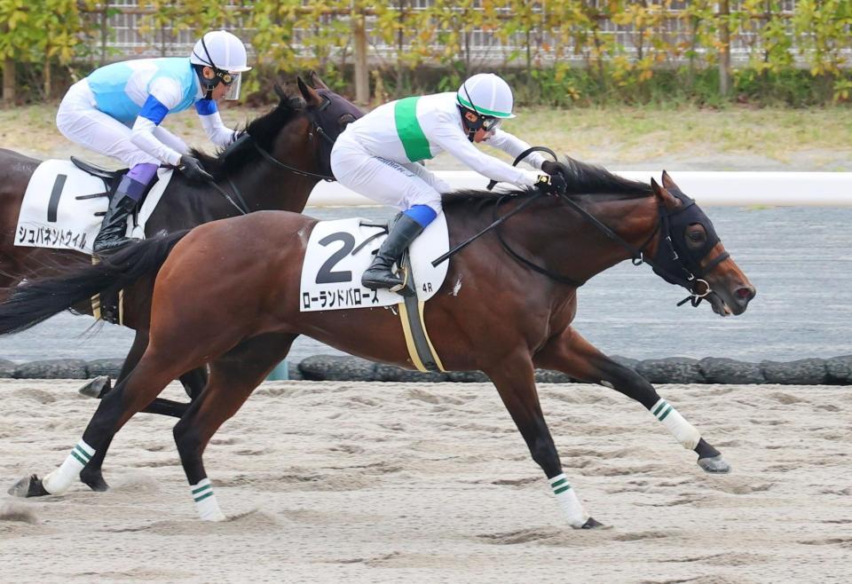 　新馬戦を制したローランドバローズ