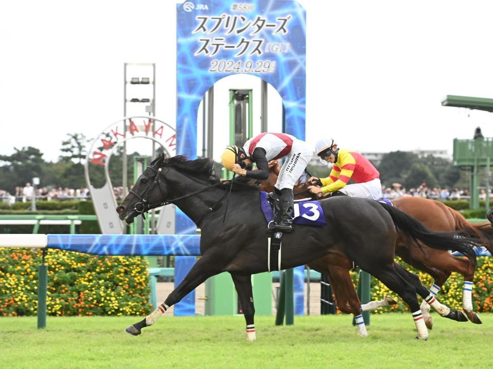 　スプリンターズＳを制したルガルと西村淳（撮影・園田高夫）