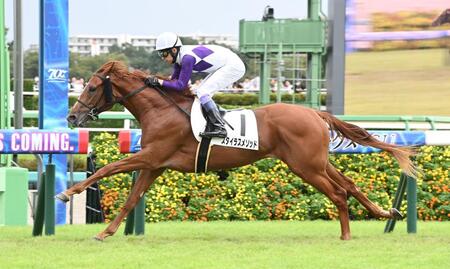 【新馬戦】スタイラスメソッド　武豊「もう一回伸びた」悠々３馬身差勝利