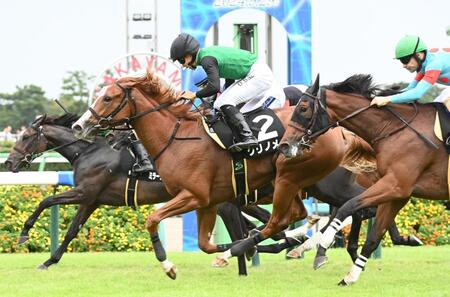 【サフラン賞】クリノメイ　無傷２連勝　佐々木「年末の大きいところを使えそう」