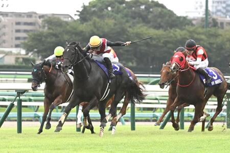 【南井克巳元調教師　剛腕の視点】ペースに惑わされず自分の競馬に徹したルガル　スプリンターズＳ