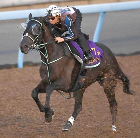 　アスコリピチェーノ