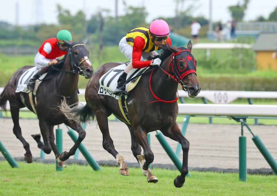 外から楽々突き抜けたロケベンドラ＝中京競馬場