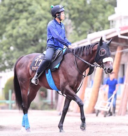 　秋初戦で反撃に出るシックスペンス