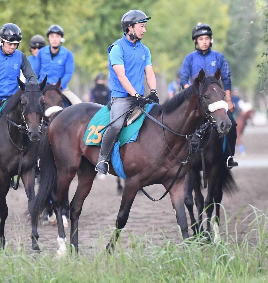 　重賞初挑戦でのタイトル獲得を狙うアルレッキーノ