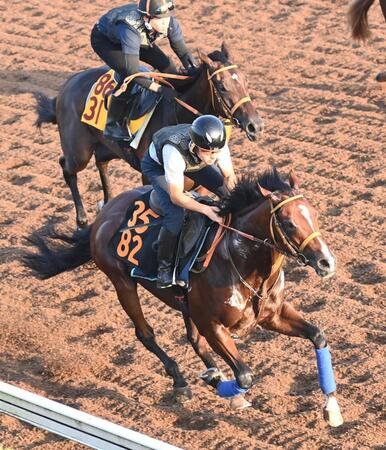 　軽快な動きで僚馬に先着を決めたヒシアマン（手前）＝撮影・園田高夫