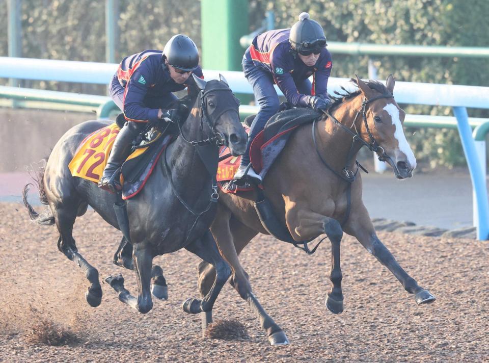 　美浦Ｗで長めからしっかり追われたチェルヴィニア（右）