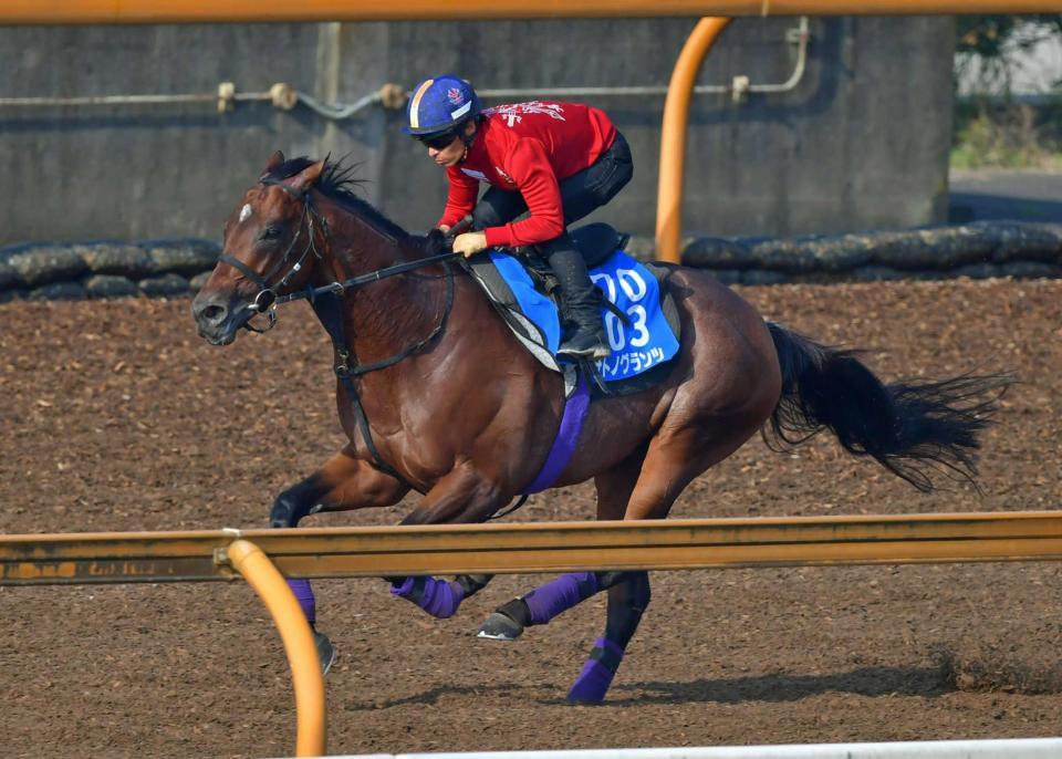 　川田を背に好ラップを刻んだサトノグランツ（撮影・石湯恒介）