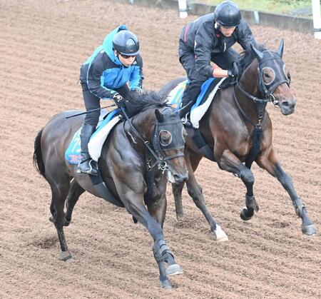 　併せ馬で追い切ったコスモキュランダ（左）＝撮影・園田高夫