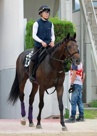 【新馬戦】サトノブリジャール　伯母にＧ１・７勝馬ジェンティルドンナを持つ期待の超良血　友道師も素質評価「楽しみです」