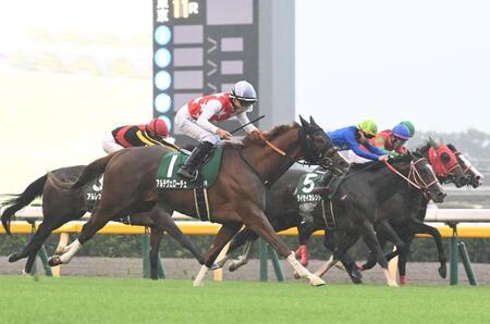 　１１Ｒ・サウジアラビアＲＣを勝利したアルテヴェローチェ（左手前）＝撮影・園田高夫