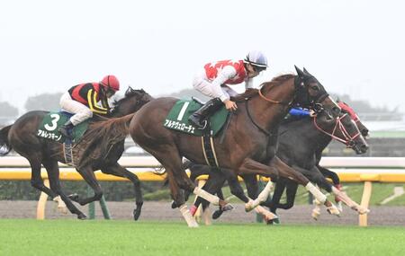 　サウジアラビアＲＣを勝利したアルテヴェローチェ（手前）＝撮影・園田高夫