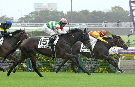 　新馬戦を制したロンドボス（手前）＝撮影・園田高夫