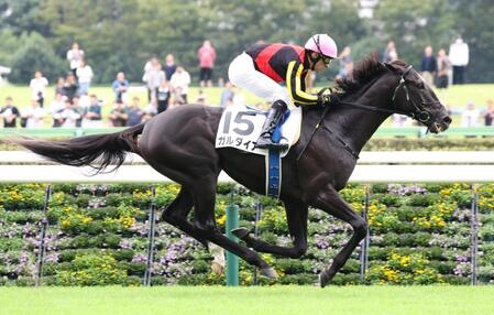 【新馬戦】ガルダイア　苦笑いの初陣Ｖ　ルメール「乗りづらい」入線後も止まらず暴走