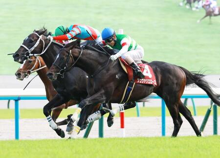 　ゴール寸前で差し切るシュヴァリエローズ（手前）＝撮影・石湯恒介