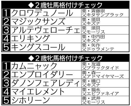 　新たなランクインもあった牡牝の２歳馬格付けチェック