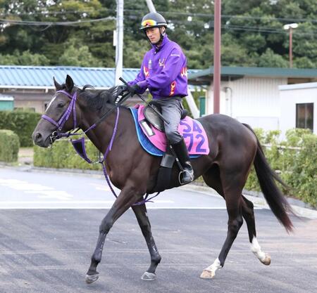 　運動する鹿戸厩舎のビッグヴァレイ