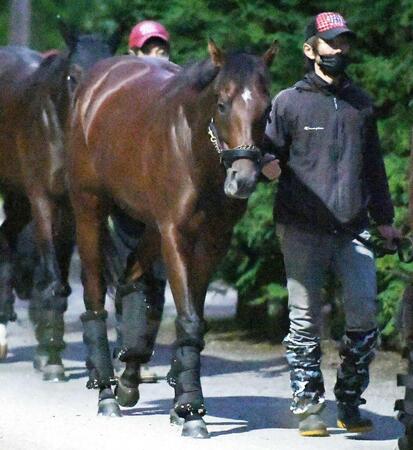 【新馬戦】アクアプローヴァ　ソフトバンク・柳田オーナーへＣＳに弾みつけるＶを　四位師「今のところ扱いやすい」