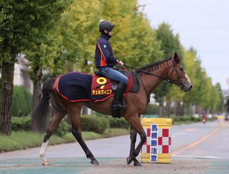 【秋華賞】チェルヴィニア　好枠から２冠へ　太田助手「並び的にも競馬はしやすい」