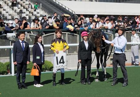 　新馬戦を勝ったドンインザムード