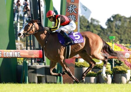 　秋華賞を制したチェルヴィニア（撮影・石湯恒介）