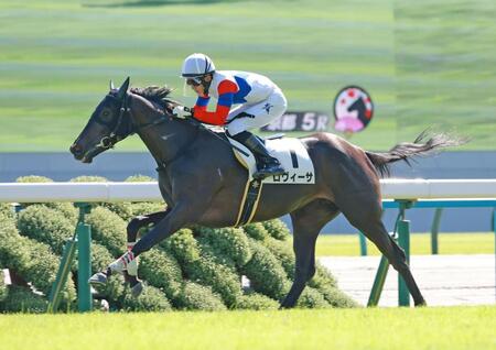 【新馬戦】伏兵ロヴィーサ　最内鋭く抜け出しＶ　ＪＲＡ通算３００勝の大根田師「皆さんに大感謝」