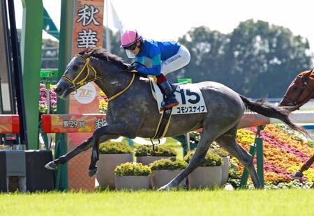 　新馬戦を快勝したコモンスナイプ（撮影・石湯恒介）