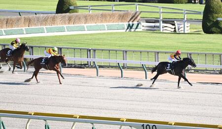 【プラタナス賞】良血メルキオル　ゆったり逃げ切り５馬身差快勝　松永幹師「だんだん競馬を覚えてきた」