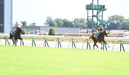 　２歳新馬を圧勝したデンクマール（右）＝撮影・棚橋慶太