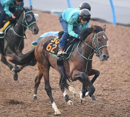 【新馬戦】厩舎期待の良血馬ヘヴンウィンド出陣　黒岩師「初戦から力は出せる」