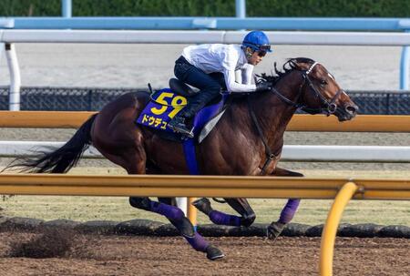 【天皇賞】ドウデュース　伸び脚別格　武豊「言うことなく全ていい」