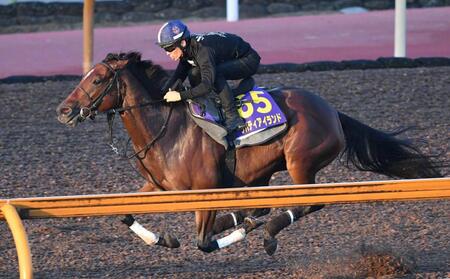 【天皇賞】リバティアイランド　女王の本領発揮　久々も動き絶好