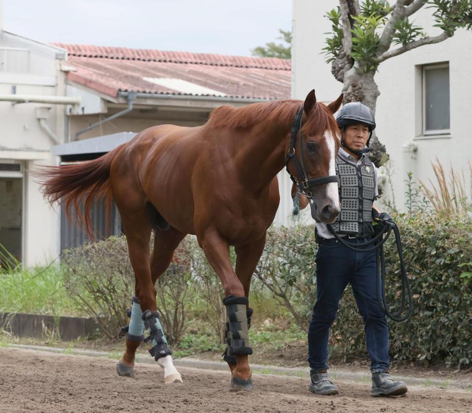 　運動するアーバンシック