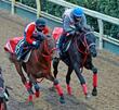 【菊花賞】馬場状態から浮上するのはこの馬だ