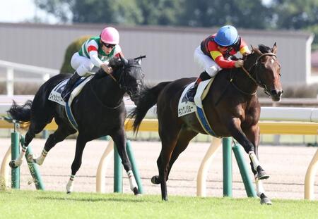 【新馬戦】圧倒的１番人気キングノジョー　最速上りで２馬身半差Ｖ　ルメール高評価「いい瞬発力を見せてくれた」