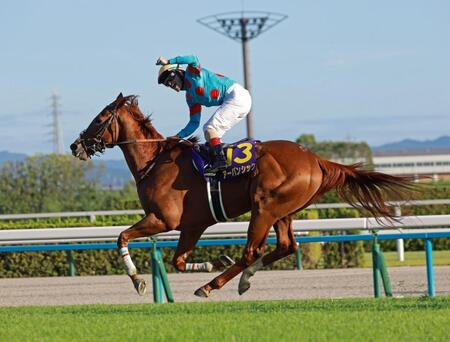 【菊花賞】２番人気アーバンシックがクラシックラスト１冠制す　１番人気ダノンデサイルは６着