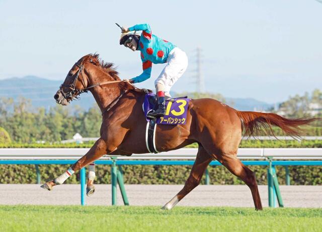 菊花賞】アーバンシックがG1初制覇！春の雪辱果たしラスト1冠射止め