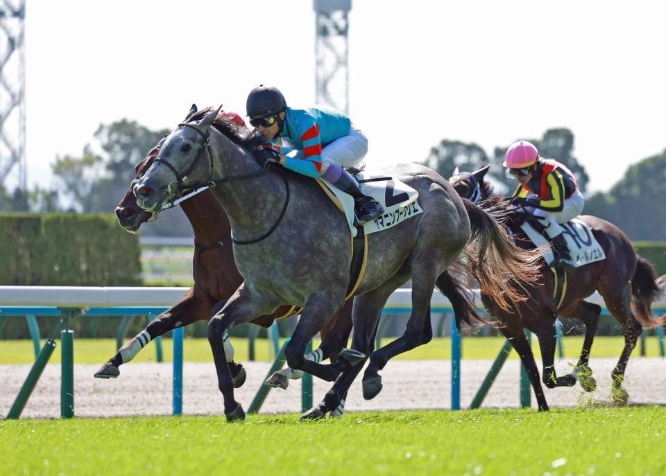 　新馬戦を制したヤマニンブークリエ（撮影・石湯恒介）