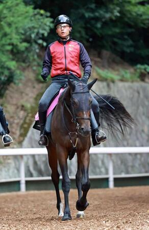 　福永厩舎期待の素質馬マイエレメント