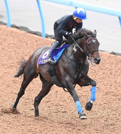 【天皇賞】ノースブリッジ＆ホウオウビスケッツ　同厩ワンツーで“親子丼”だ　奥村武厩舎Ｗ岩田で盾獲りへ