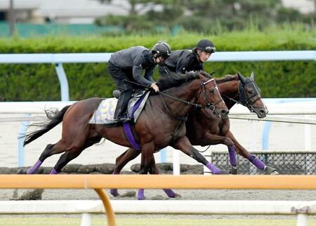 【天皇賞】ドウデュース　大人の余裕　夏越してさらに成長！ソフト仕上げで態勢万全　武豊「乗っていてうれしくなるような動き」