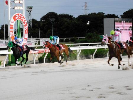 　無傷の３連勝で重賞初制覇を果たしたオケマル（右）＝撮影・中山伸治