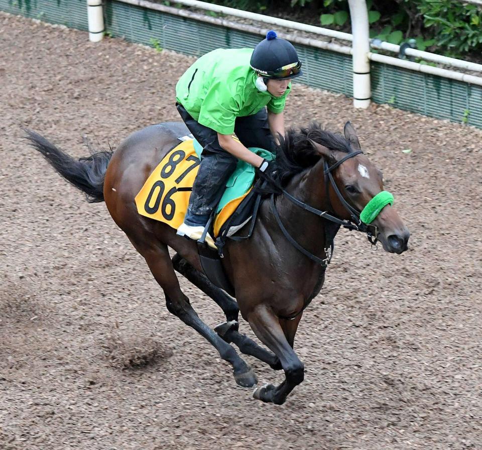 　栗東坂路で好ムードを漂わせたクランフォード