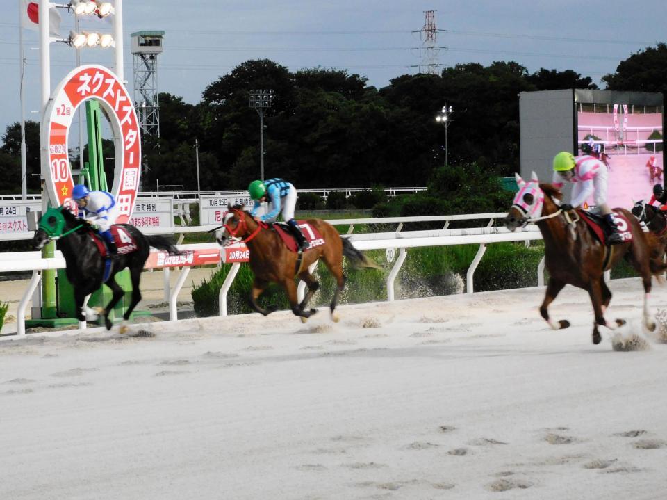 　無傷の３連勝で重賞初制覇を果たしたオケマル（右）＝撮影・中山伸治