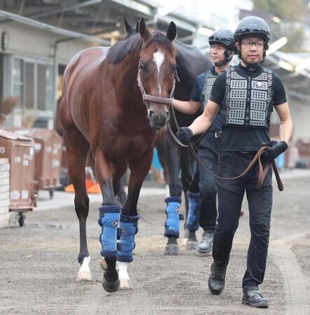 　運動に出発するレーベンスティール