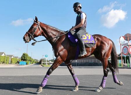 【天皇賞】ドウデュース　仕上がりは万全　心身ともに完成　友道師「いつもと変わりない」