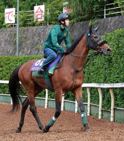 【天皇賞】ベラジオオペラ　最内から頂点へ　上村師「ポテンシャルが問われる一戦」