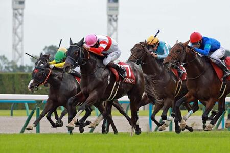 【スワンＳ】５番人気のダノンマッキンリーが重賞２勝目　松山「強い競馬を見せてくれました」