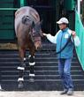 【天皇賞】展開から浮上するのはこの馬だ